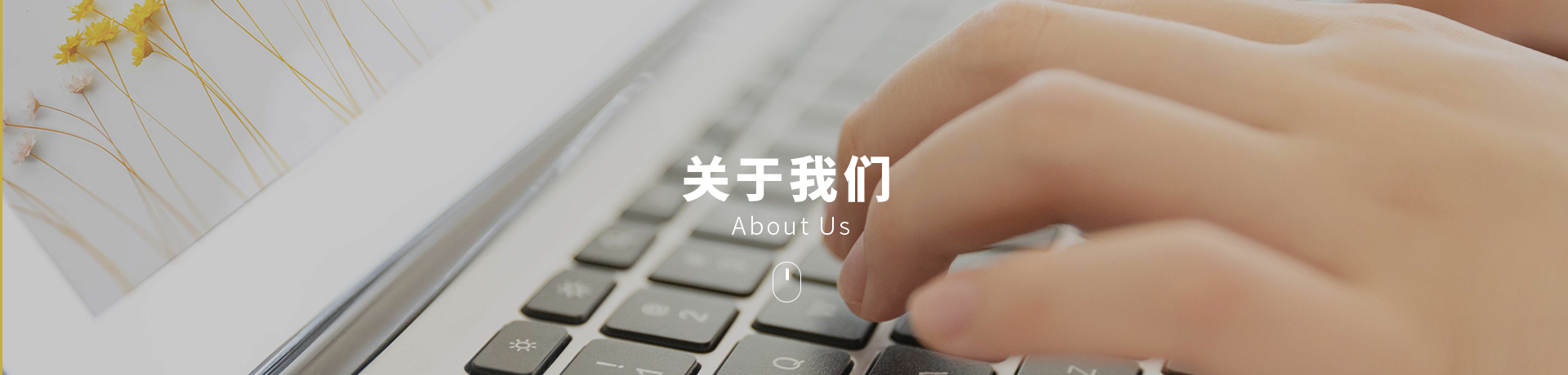 leyu乐鱼体育vip